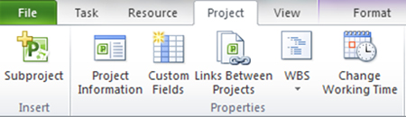 MS Project 2010 Project Tab